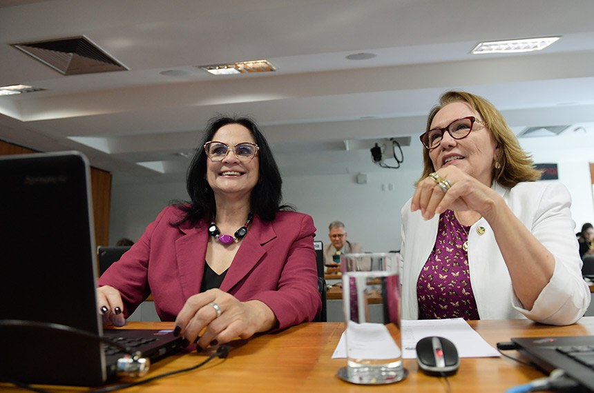 Bancada:
senadora Damares Alves (Republicanos-DF); 
senadora Zenaide Maia (PSD-RN).