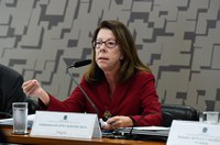 CRE aprova Eugênia Barthelmess para embaixada do Brasil em Angola