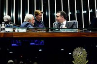 Isenção de PIS/Pasep e Cofins para farelo e óleo de milho passa no Senado