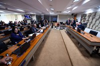 CAE aprova regulamentação da profissão de ceramista