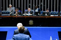 Aprovada criação do Grupo Parlamentar Brasil-Síria