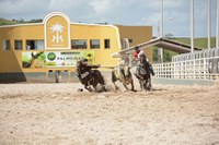 Lei torna Lagarto, em Sergipe, a Capital Nacional da Vaquejada