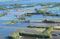 Medida provisória garante repactuação de dívidas rurais no Rio Grande do Sul