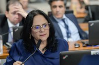 CAE aprova reajuste anual no Programa Nacional de Alimentação Escolar