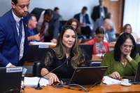 Estímulo ao microcrédito produtivo é aprovado pela CAS