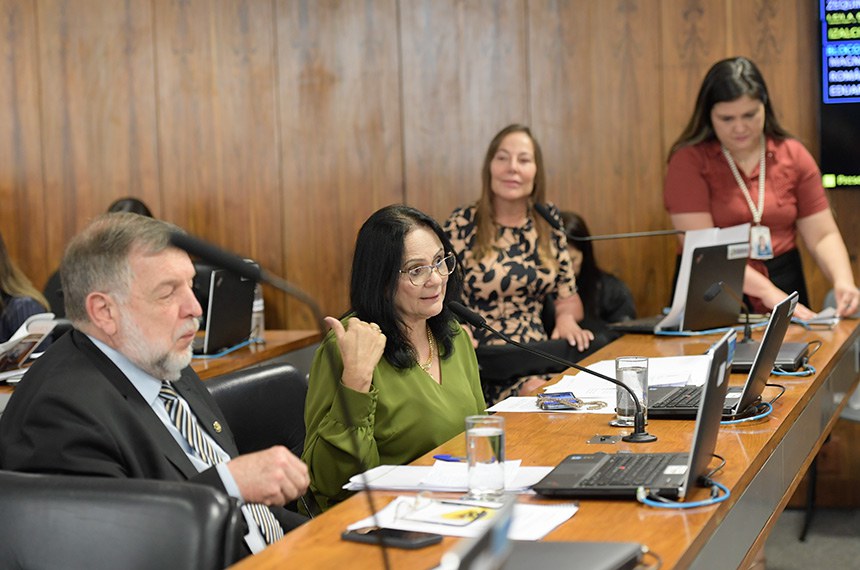 Bancada:
senador Flávio Arns (PSB-PR); 
relatora do PL 5771/2023, senadora Damares Alves (Republicanos-DF);
relatora do PL 4612/2020, senadora Mara Gabrilli (PSD-SP).