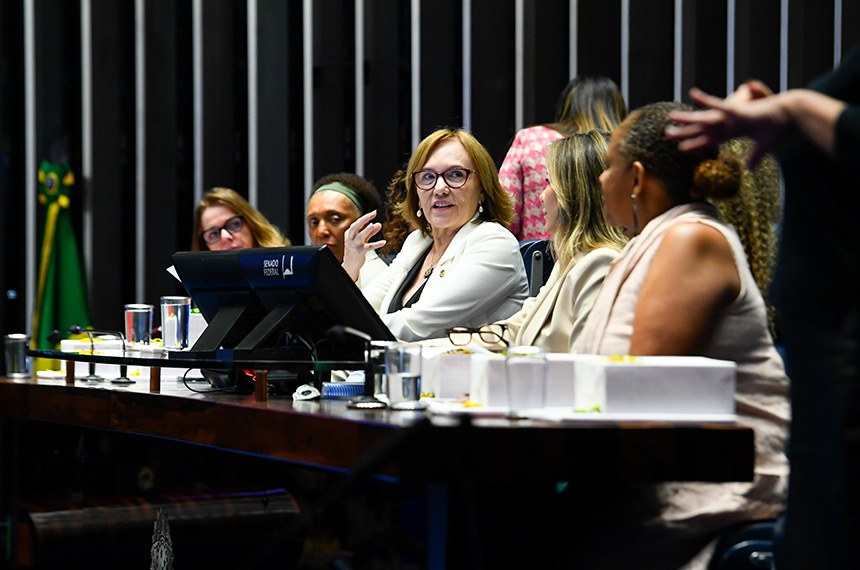 Mesa:
secretária-executiva do Ministério das Mulheres, Maria Helena Guarezi;
ministra do Tribunal Superior Eleitoral (TSE), Vera Lúcia Santana Araújo;
ministra do Tribunal Superior Eleitoral (TSE), Edilene Lôbo;
presidente e requerente desta sessão, procuradora da Mulher no Senado Federal, senadora Zenaide Maia (PSD-RN);
secretária desta sessão;
secretária-geral do Conselho Nacional de Justiça (CNJ) e juíza Federal, Adriana Alves dos Santos Cruz;
secretária de Políticas de Ações Afirmativas, Combate e Superação do Racismo do Ministério da Igualdade Racial, Márcia Lima.