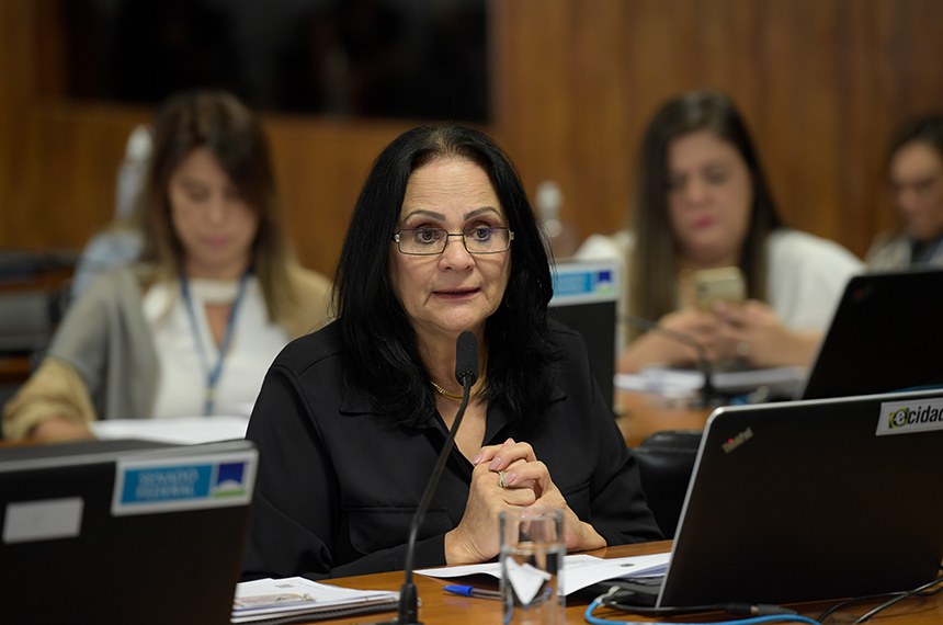 Mesa: 
presidente da CDH, senador Paulo Paim (PT-RS).