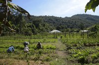 Incentivo à permanência de jovens no campo está na pauta da CRA