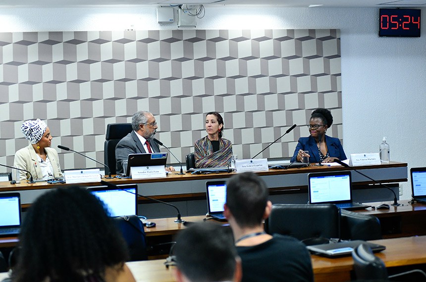 Mesa: 
chefe da Assessoria de Participação Social e Diversidade do Ministério da Cultura, Mariana Braga Teixeira;
presidente eventual da CE e requerente desta audiência, senador Paulo Paim (PT-RS);
chefe da Assessoria Especial de Educação e Cultura em Direitos Humanos do Ministério dos Direitos Humanos e da Cidadania (MCDH), Letícia Cesarino;
diretora substituta de Políticas de Ações Afirmativas do Ministério da Igualdade Racial (MIR), Vanessa Machado.