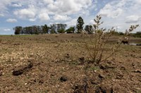 Vetado adiamento de parcelas de dívidas rurais de atingidos por seca ou inundação