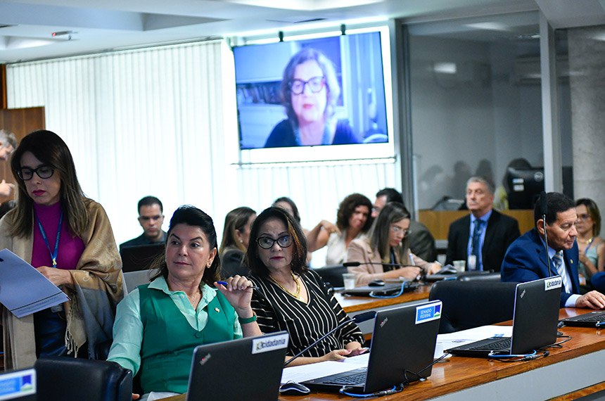 Bancada:
senadora Rosana Martinelli (PL-MT); 
senadora Damares Alves (Republicanos-DF);
senador Hamilton Mourão (Republicanos-RS).