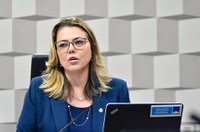 Presidente da CMA pede engajamento e ação coordenada no combate ao fogo