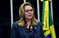 Leila Barros anuncia projeto para tornar lei mais dura contra incêndios criminosos