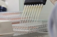 Sancionada lei que determina produção de fármacos para doenças negligenciadas