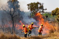 Chega ao Congresso MP que facilita repasses para combate a incêndios