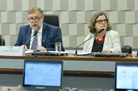 CE debate atendimento a alunos com deficiência no Plano Nacional de Educação