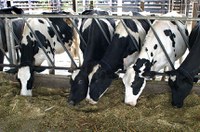 Lei garante mais agilidade no controle de emergências sanitárias