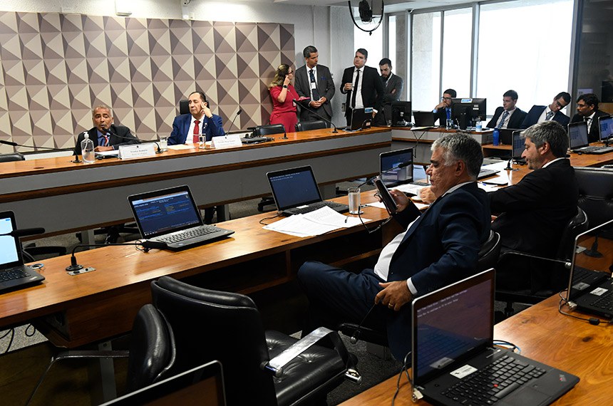 Bancada:
senador Carlos Portinho (PL-RJ); 
senador Eduardo Girão (Novo-CE).