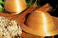 Artesanato em capim dourado é reconhecido como manifestação cultural