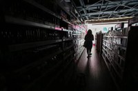 Projeto institui medidas para proteger consumidores afetados por apagões