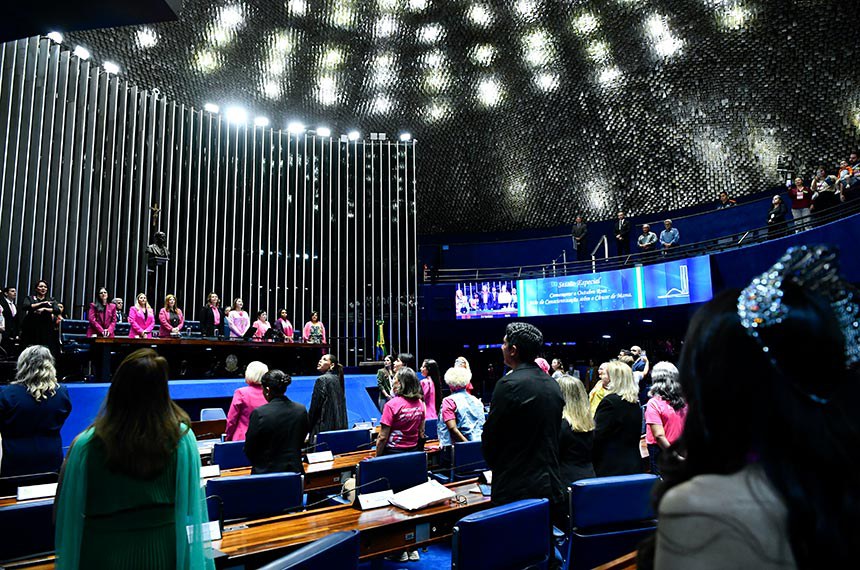 Vista do Plenário na sessão especial pelo Outubro Rosa - Foto: Geraldo Magela/Agência Senado