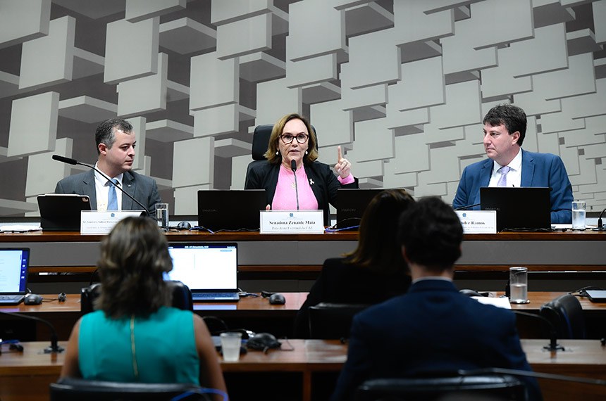 Mesa: 
coordenador de Tributos Sobre a Renda, Patrimônio e Operações Financeiras (Cotir), representante de Receita Federal, Gustavo Salton Rotunno Abreu Lima da Rosa;
presidente eventual da CAE, senadora Zenaide Maia (PSD-RN);
gerente jurídico e compliance do Centro das Indústrias do Estado de São Paulo (Ciesp), Alexandre Ramos.