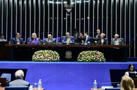 Defesa da vida marca sessão pelos 25 anos de fundação da Abrame