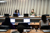 Debate aponta importância de atendimento para parentes de desaparecidos