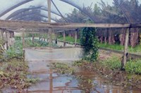 Vai ao Senado MP que destinou R$ 230 mi a produtores do Rio Grande do Sul