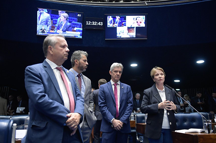 Oposição vê projeto bem encaminhado, mas se preocupa com impactos regionais - Foto: Saulo Cruz/Agência Senado