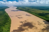 CMA vota destinação de royalties de petróleo para proteção da Amazônia