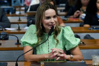 Crimes digitais: Comissão de Defesa da Democracia adia votação de projetos