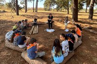 Senado homenageia os 100 anos da União dos Escoteiros do Brasil