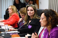 Proposta inclui violência de gênero em editais de concursos