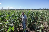 Crédito para agricultura familiar é fortalecido com nova lei