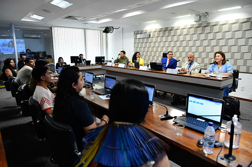 Mesa: 
diretor do Departamento de Línguas e Memórias do Ministério dos Povos Indígenas, Eliel Benites; 
representante do Encontro Nacional dos Estudantes Indígenas (ENEI), Rutian Pataxó; 
presidente eventual da CMA, senador Bene Camacho (PSDB-MA); 
coordenador-geral de Articulação Institucional da Secretaria de Educação Superior do Ministério da Educação, Fernando Antonio dos Santos Matos; 
senadora Rosana Martinelli (PL-MT) - em pronunciamento.