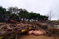 Sancionada lei que concede descontos a produtores atingidos por enchente no RS