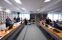 CDH aprova apoio psicológico para mãe que perde bebê no parto