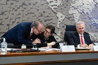 CRE aprova indicação de Ana Maria Bierrenbach para embaixada em Chipre