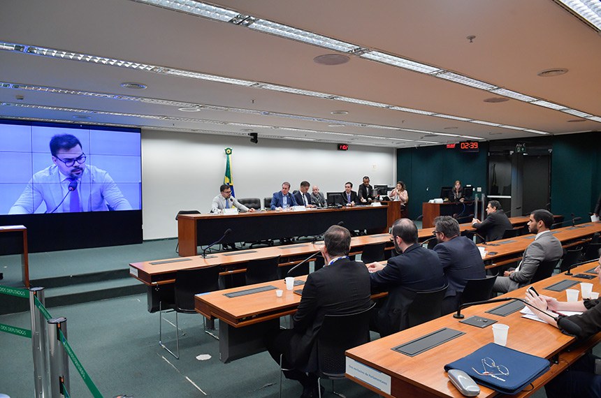 Bancada:
deputado Domingos Sávio (PL-MG), em pronunciamento.