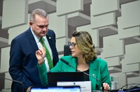 Subcomissão quer mais investimentos e educação ambiental pelo Pantanal