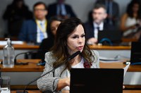 CDR aprova recursos de fundos constitucionais para economia criativa