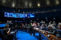 Plenário aprova indicação de Ana Bierrenbach para embaixada em Chipre