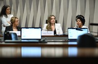 Comissão de combate à violência contra mulher apresenta relatório final na quarta