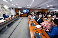 CE aprova relatório de avaliação da política de cotas na cultura