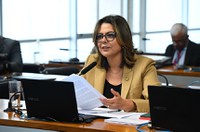 CDH: Estádios deverão ter campanhas para violência contra a mulher