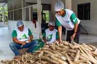 Cruzeiro do Sul (AC) recebe título de Capital Nacional da Farinha de Mandioca