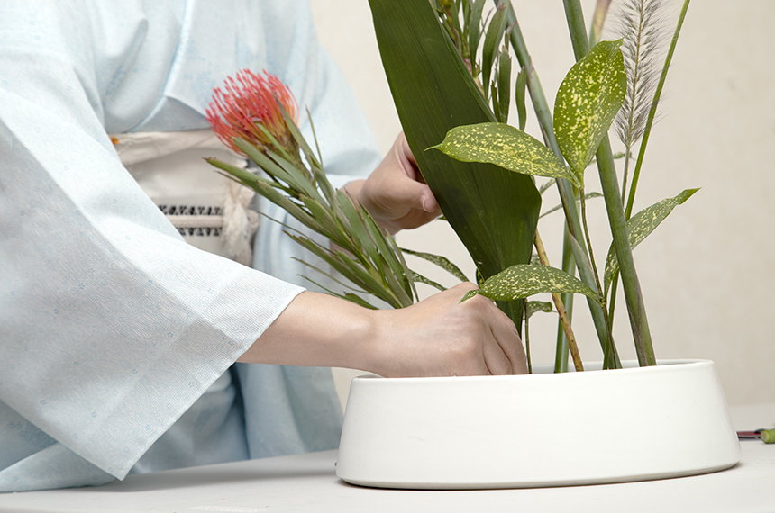 Lei cria Dia Nacional da Ikebana