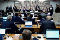 Cotas, maioridade penal e plebiscito sobre aborto estão prontas para a pauta da CCJ